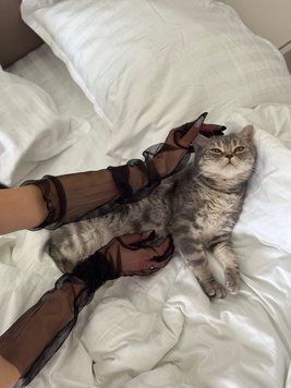 Довгі рукавички з сіточки, Чорний, Чорний Г037 фото
